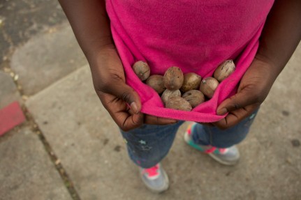 Marleya Silas collects pecans to eat in her pink shirt on May 5, 2015 at Rosewood Courts in Austin, Texas.